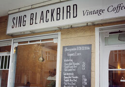 A photo of Sing Blackbird