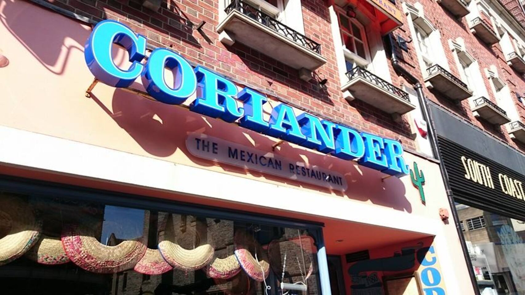 A photo of Coriander