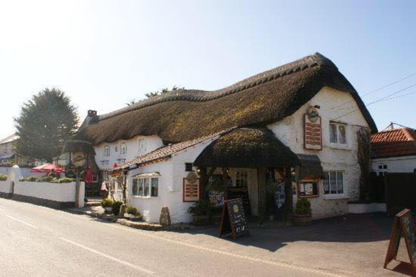A photo of The Thatch
