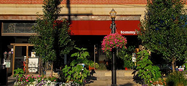 A photo of Tommy's