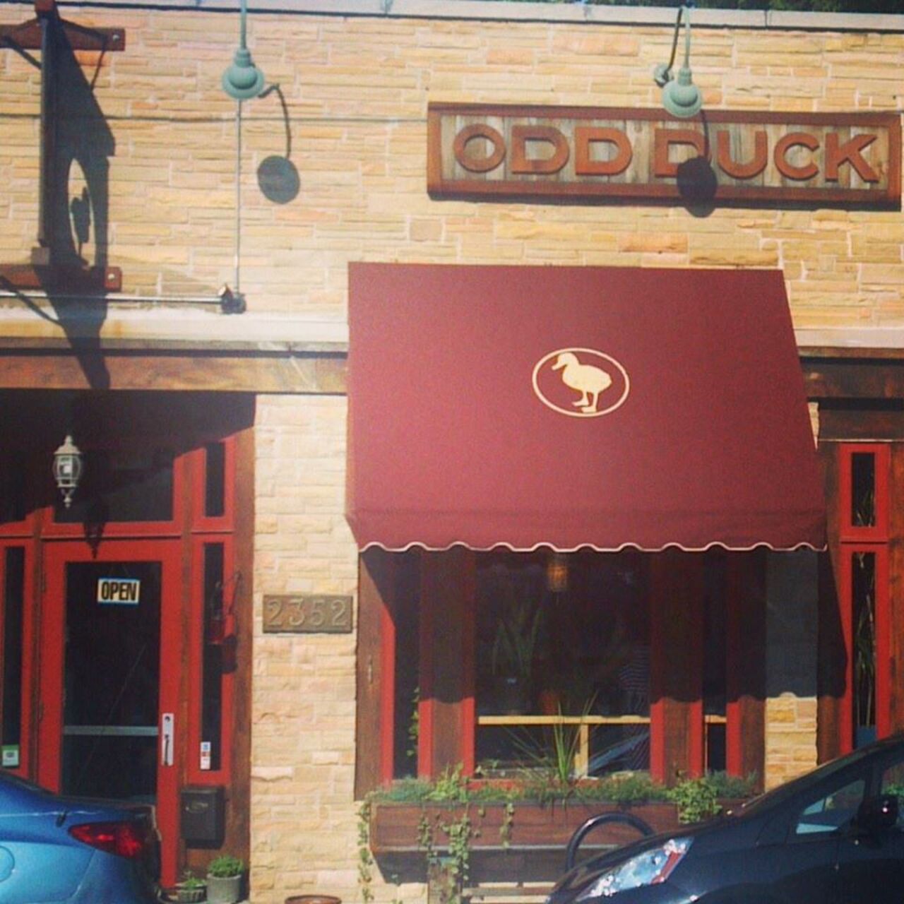 A photo of Odd Duck
