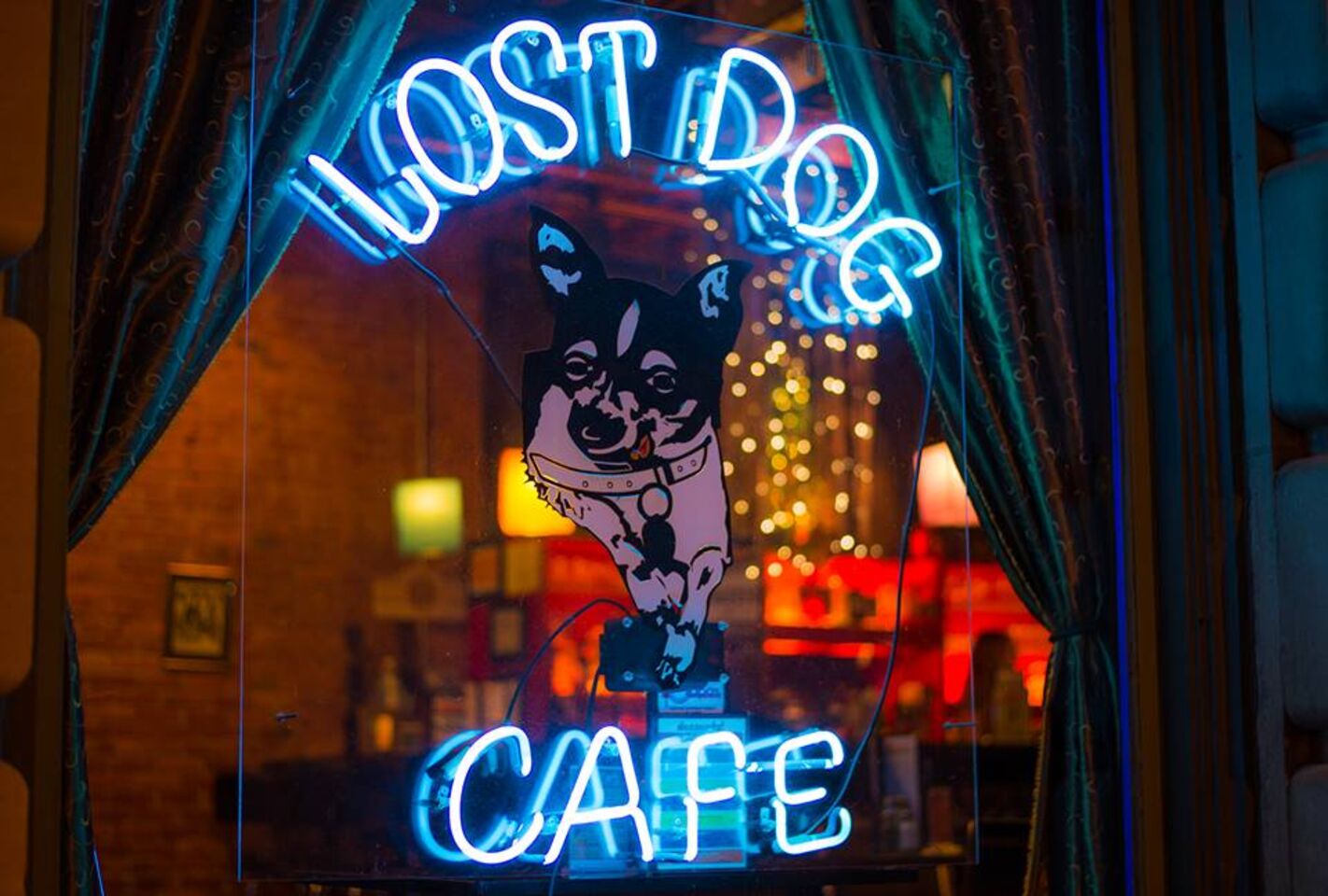 A photo of Lost Dog Café & Lounge