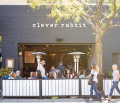 A photo of Clever Rabbit