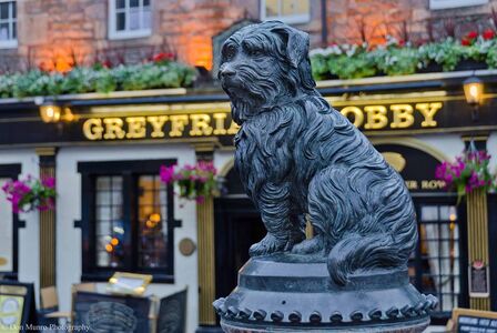 A photo of Greyfriars Bobby’s Bar