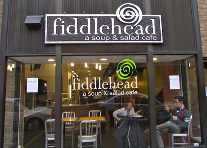 A photo of Fiddlehead