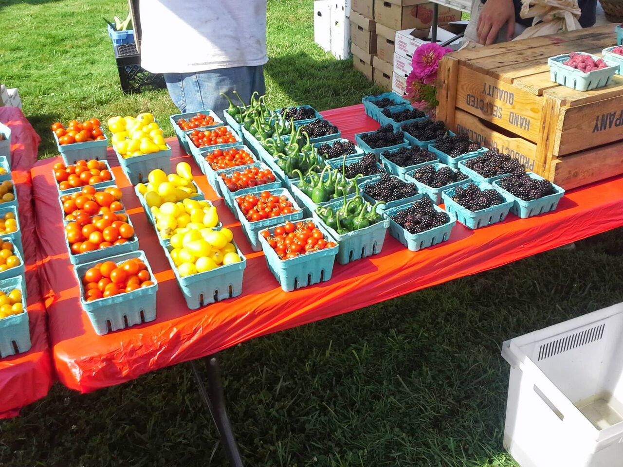 A photo of Wrightstown Farmers Market