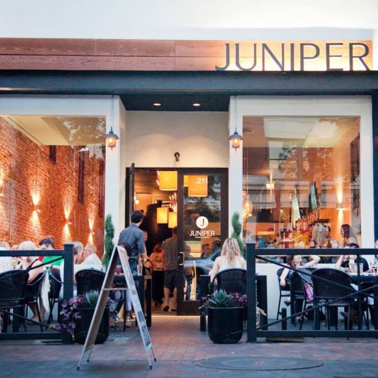 A photo of Juniper