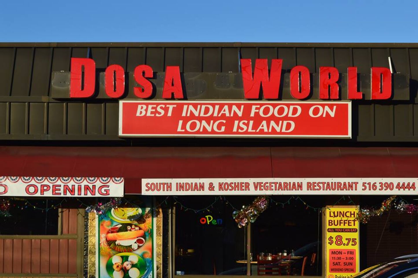 A photo of Dosa World