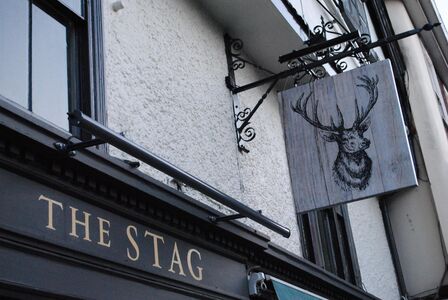 A photo of The Stag