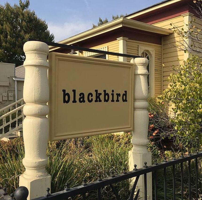 Blackbird: Books, Gallery, Café