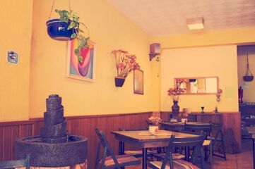 Discover vegan restaurants in Santa Cruz de Tenerife vanilla bean