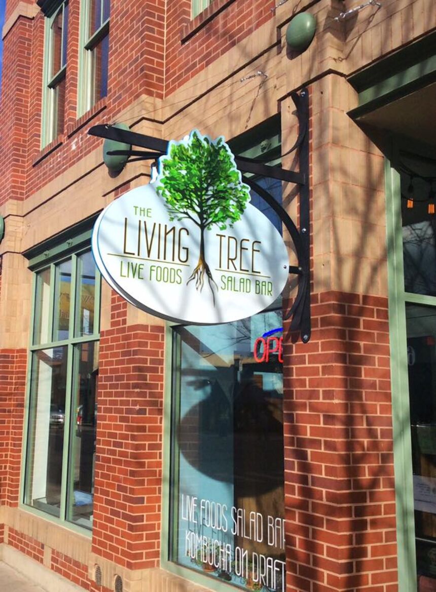 The Living Tree Live Foods Salad Bar