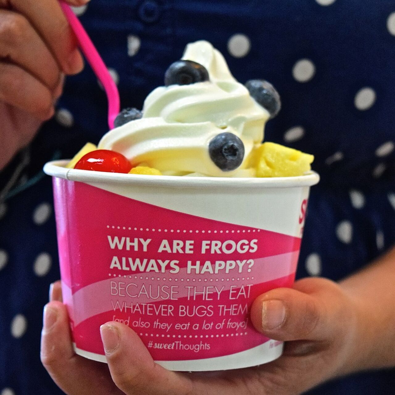 A photo of sweetFrog