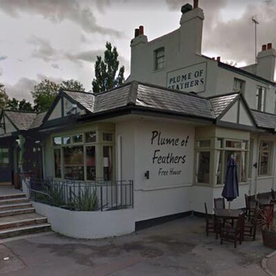 A photo of The Plume of Feathers