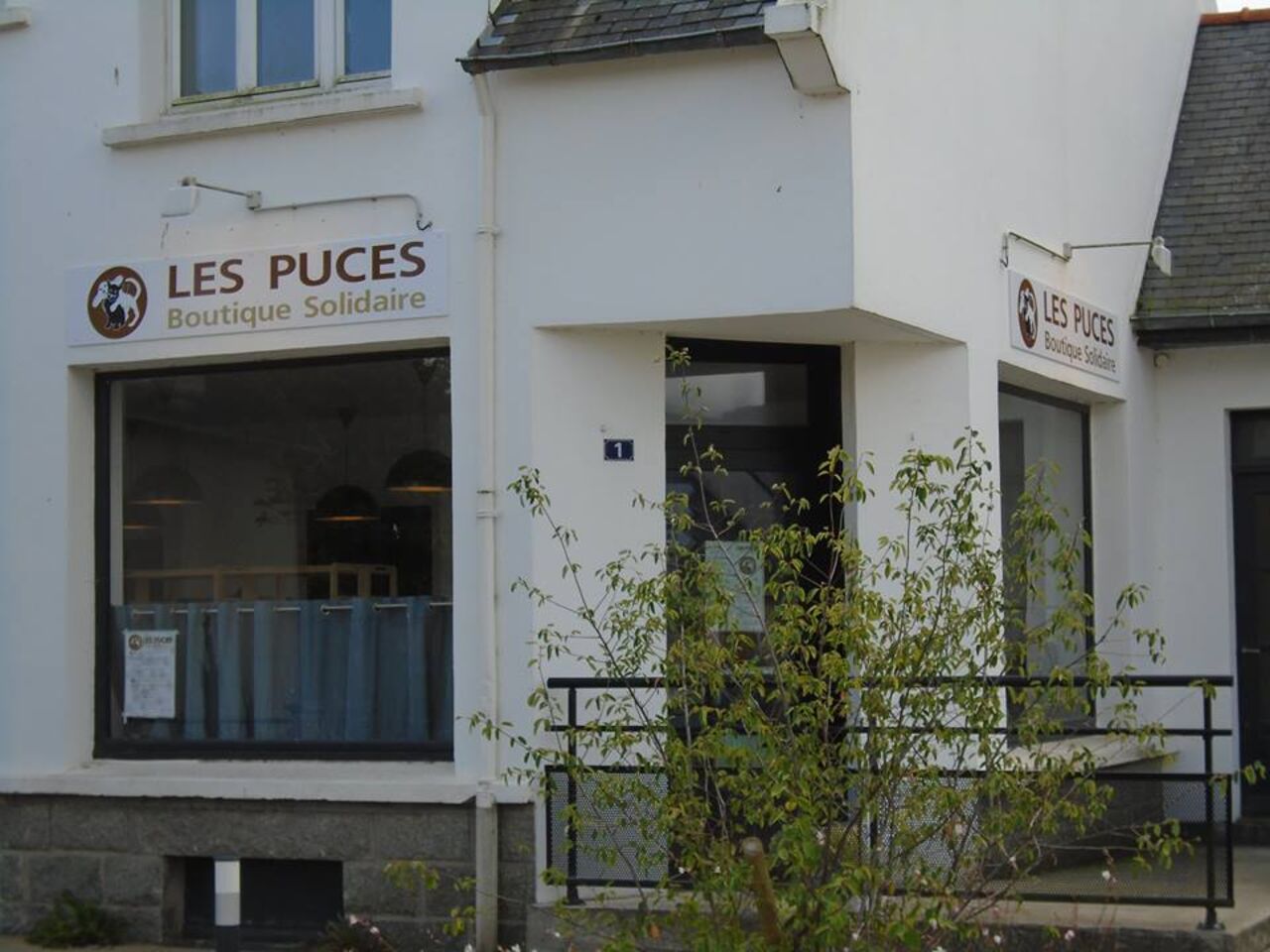A photo of Les Puces