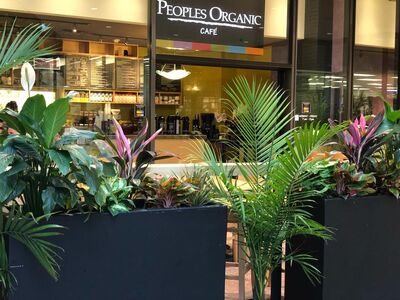 A photo of People's Organic Café, IDS Center