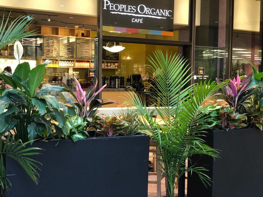 People's Organic Café, IDS Center