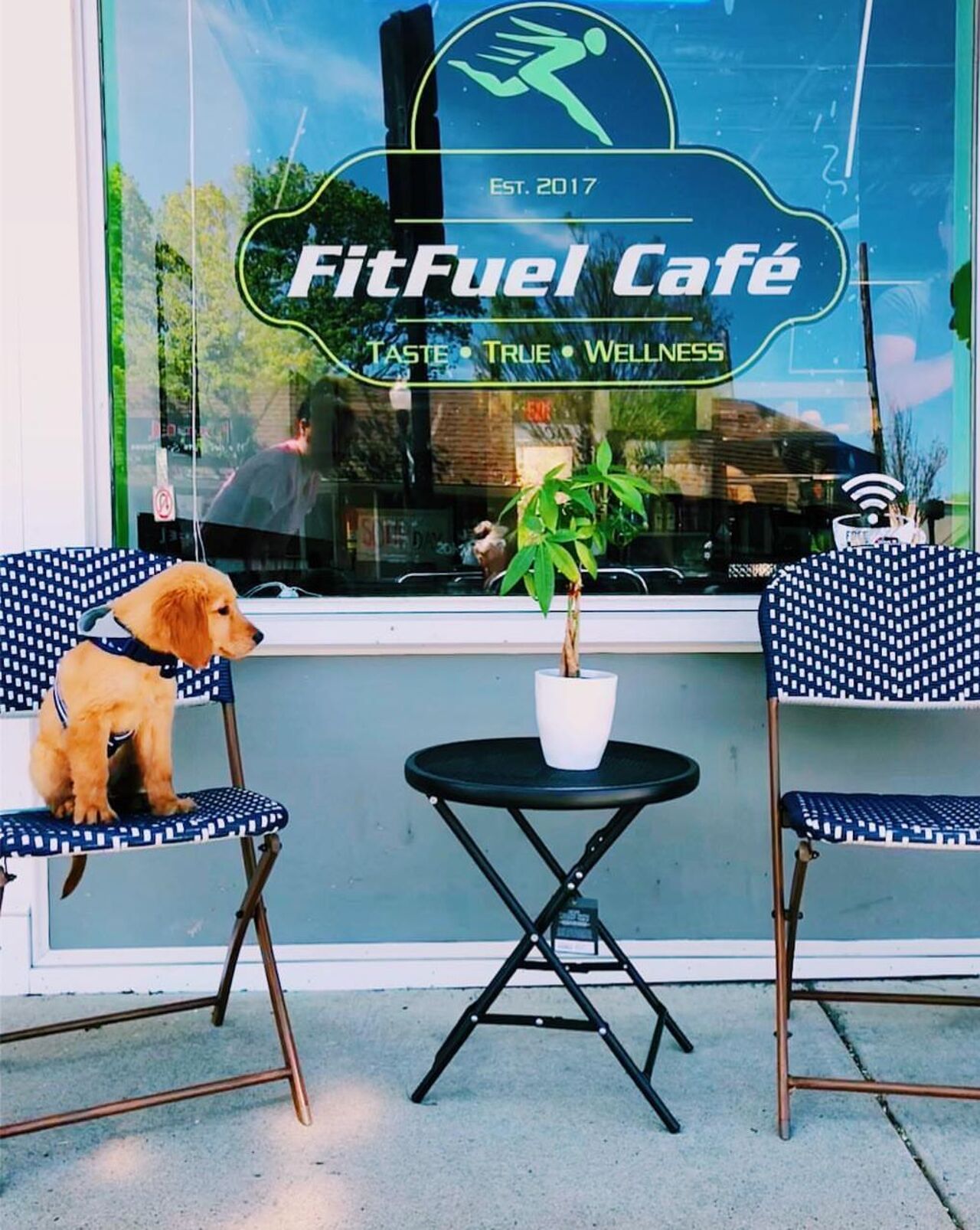 A photo of FitFuel Café