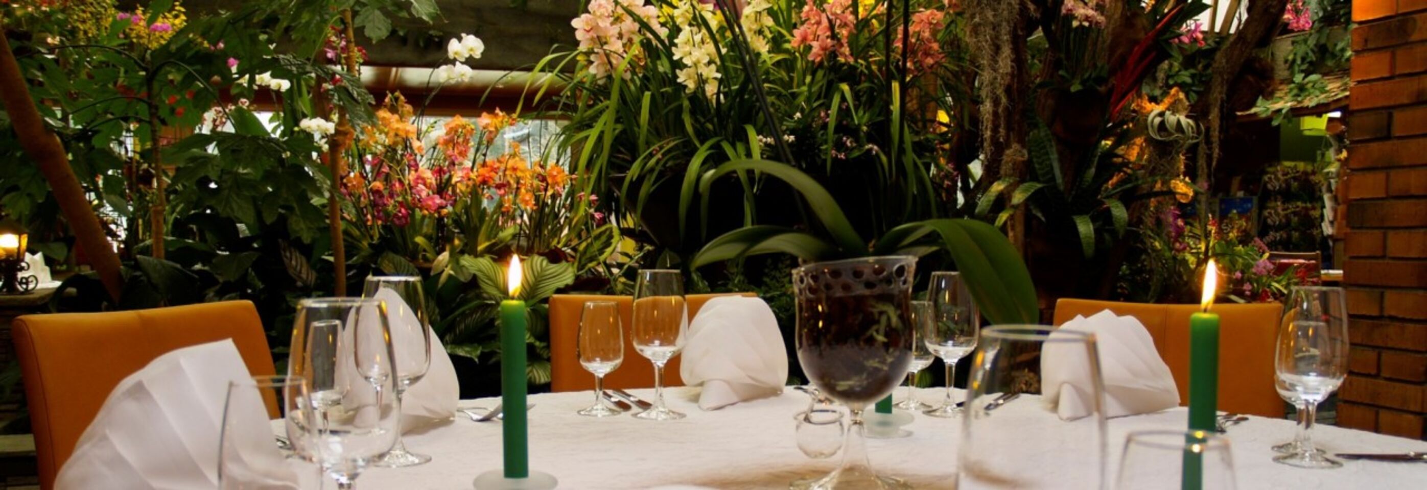 A photo of Tropenpflanzen-Restaurant Florida