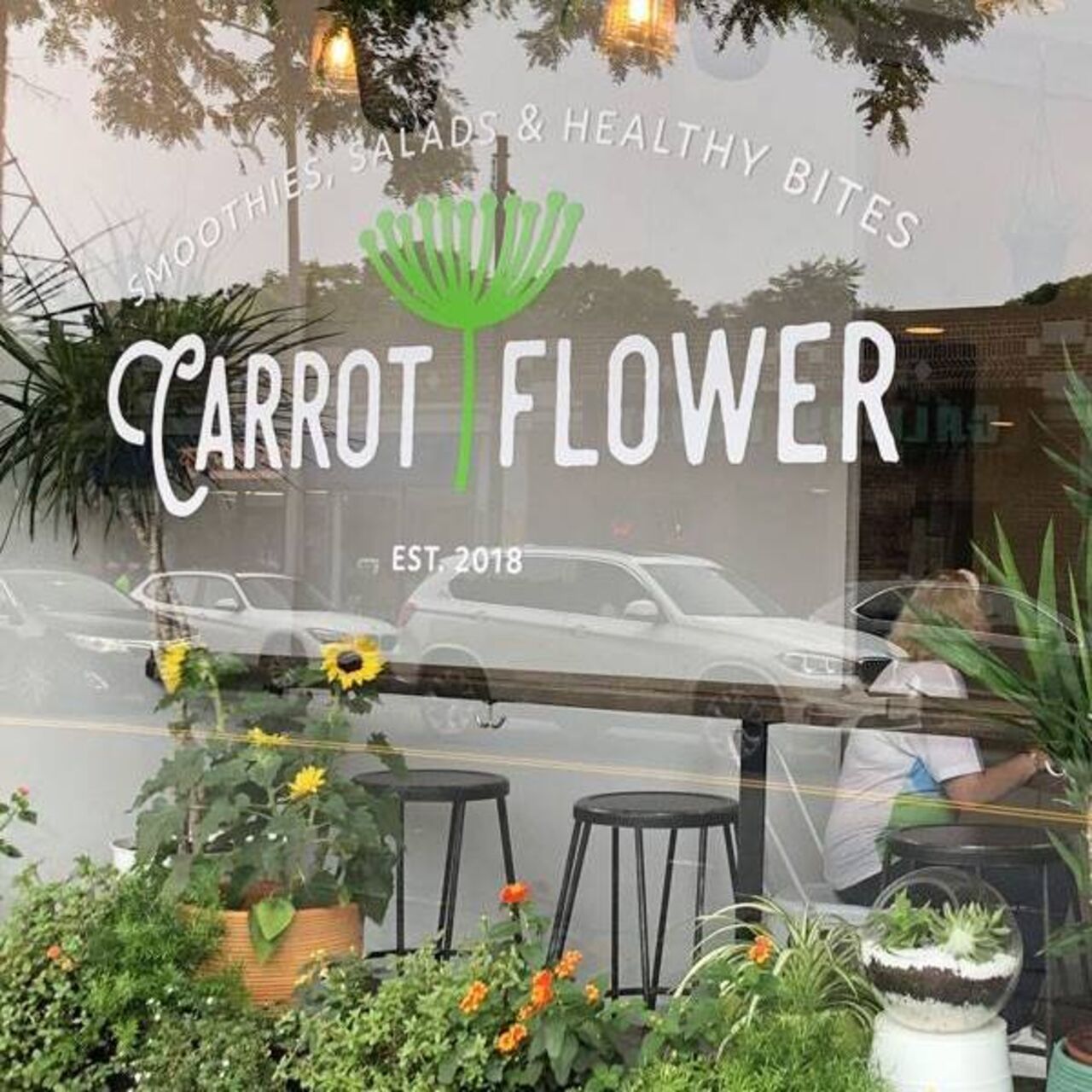A photo of Carrot Flower