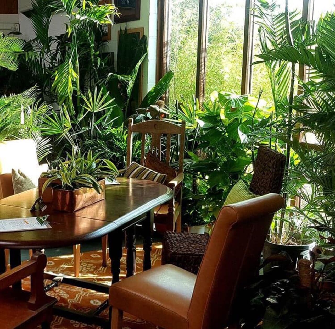 A photo of Urban Jungle Plant Nursery & Café