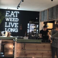 A photo of The Dutch Weed Burger Joint