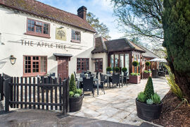 A photo of The Apple Tree