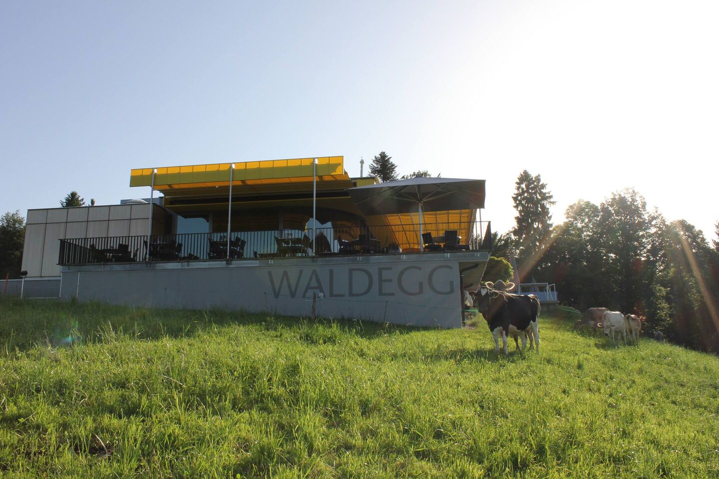 A photo of Waldegg
